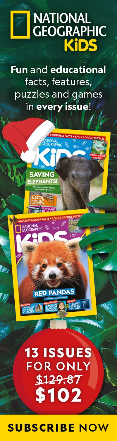 NZ: Christmas 2025 Offer – RHB