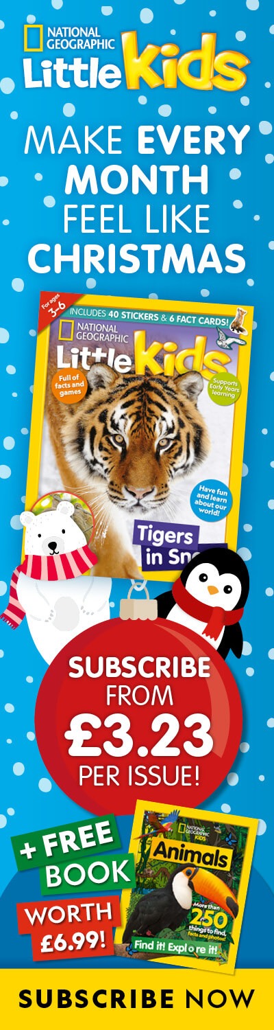 UK: Christmas 2025 Offer – RHB