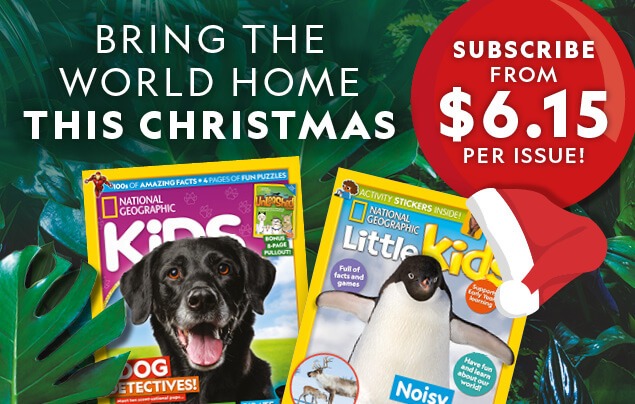 AU: Christmas 2025 Offer &ndash; In-Article