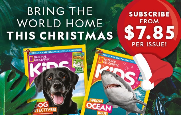 NZ: Christmas 2025 Offer – In-Article