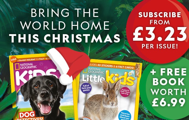 UK: Christmas 2025 Offer &ndash; In-Article