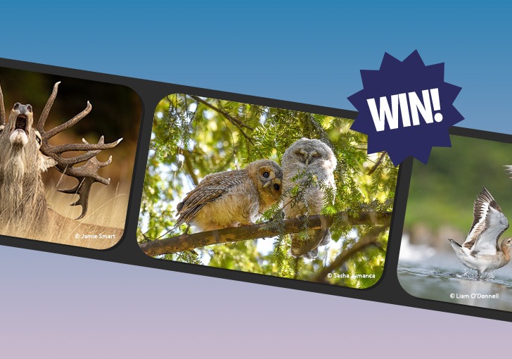 Win a two-day photography masterclass and more!