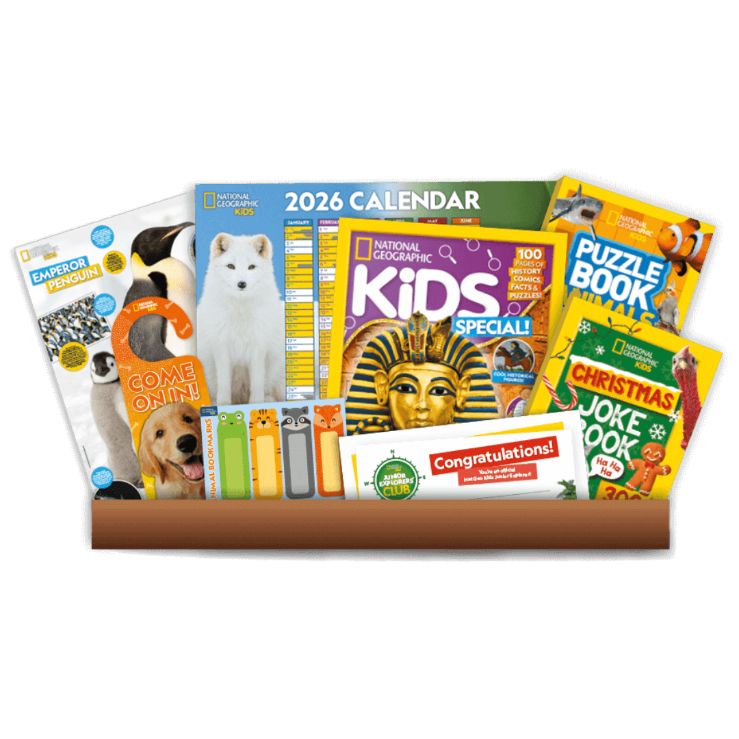 Junior Explorer Club Christmas Discovery Box