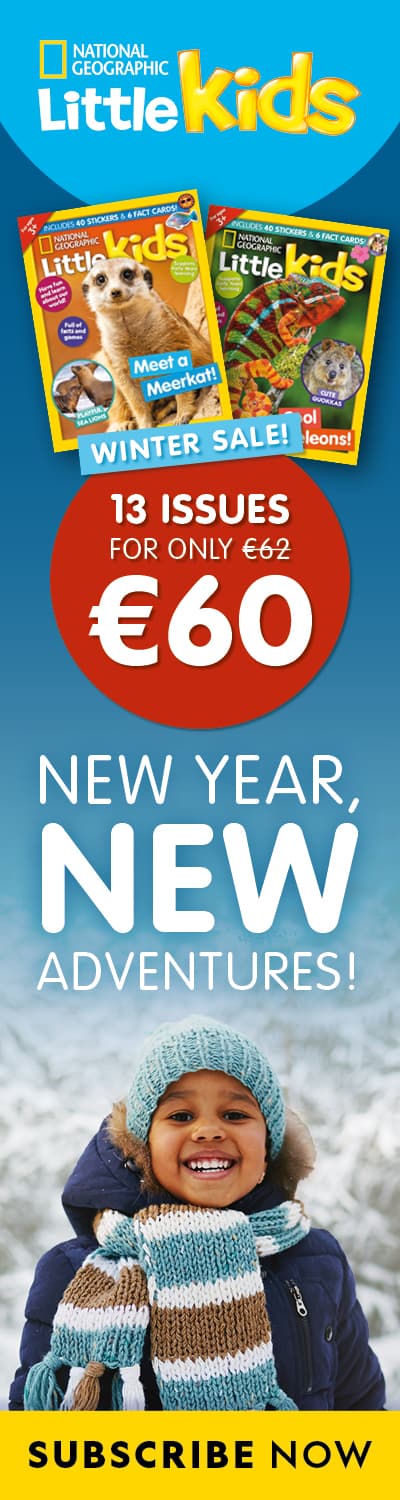 IE: Winter Sale 2026 – RHB