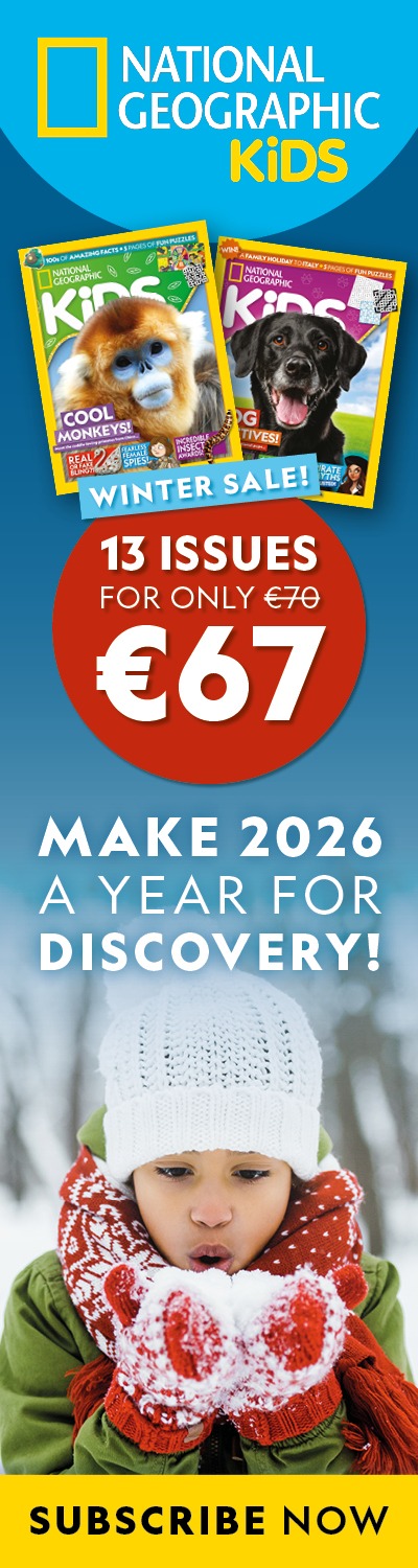 IE: Winter Sale 2026 – LHB