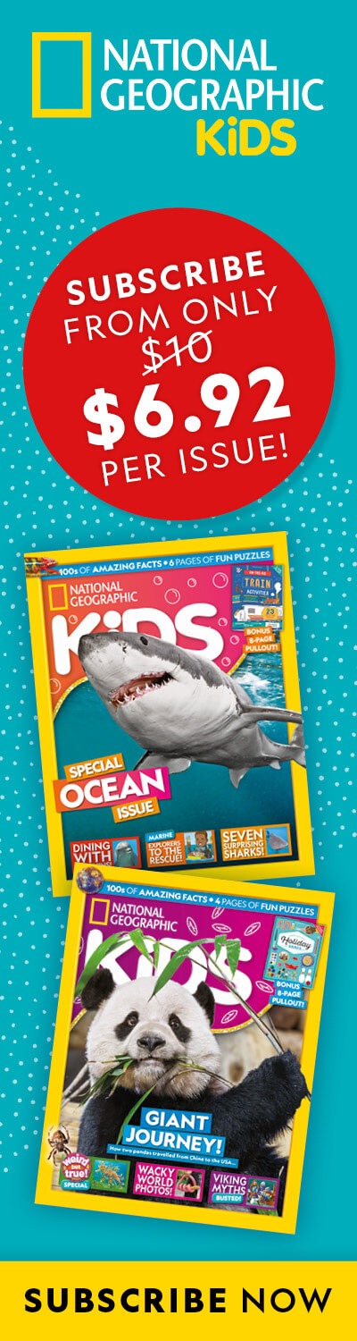 AU: BAU 2026 – LHB