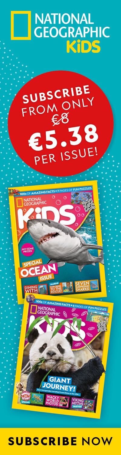 IE: BAU 2026 – LHB