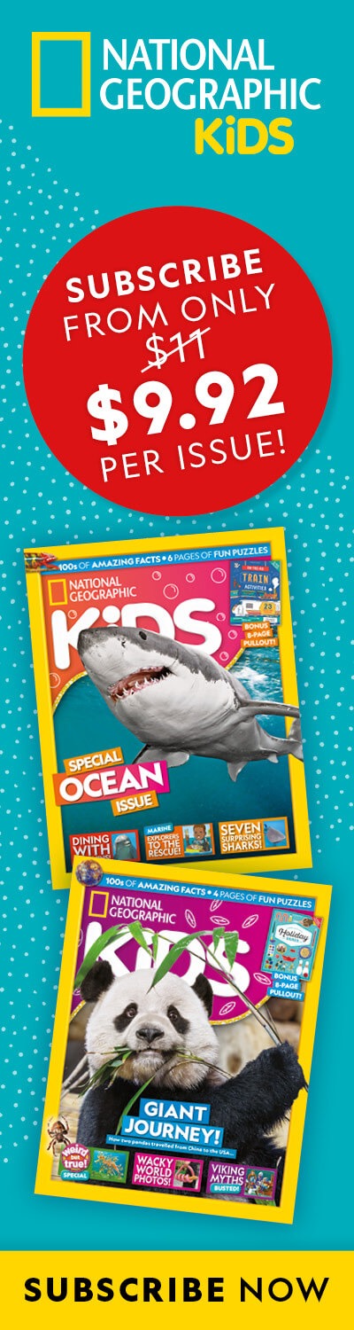 NZ: BAU 2026 – LHB