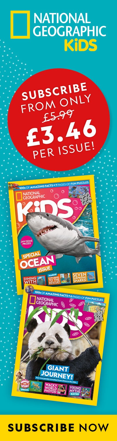 UK: BAU 2026 – LHB