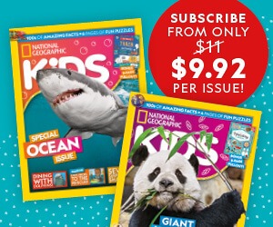 NZ: BAU 2026 – MPU