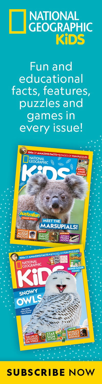 NZ: BAU 2026 – RHB