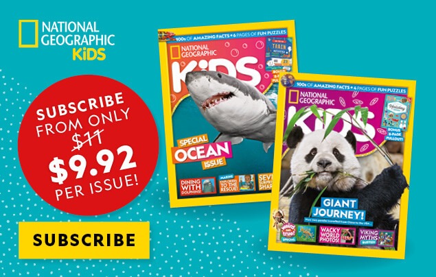 NZ: BAU 2026 &ndash; In-Article