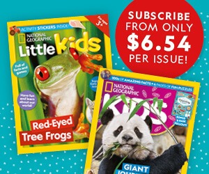 AU: BAU 2026 – MPU