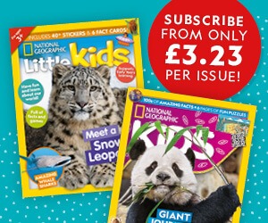 UK: BAU 2026 – MPU