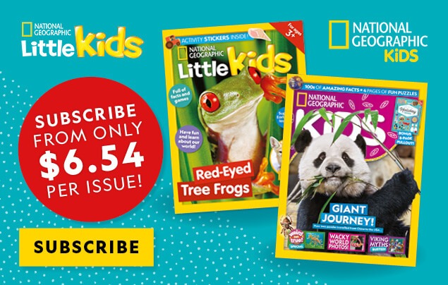 AU: BAU 2026 &ndash; In-Article