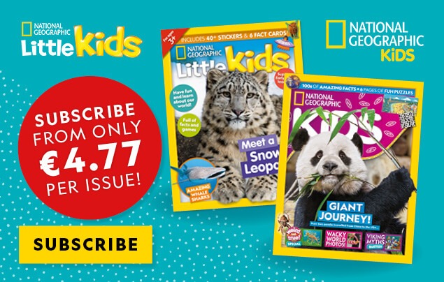 IE: BAU 2026 – In-Article