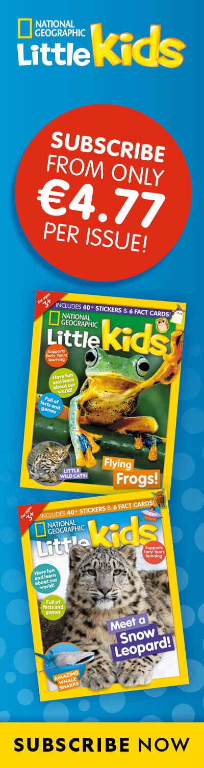 IE: BAU 2026 – RHB