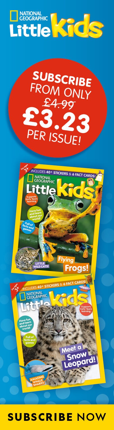 UK: BAU 2026 – RHB