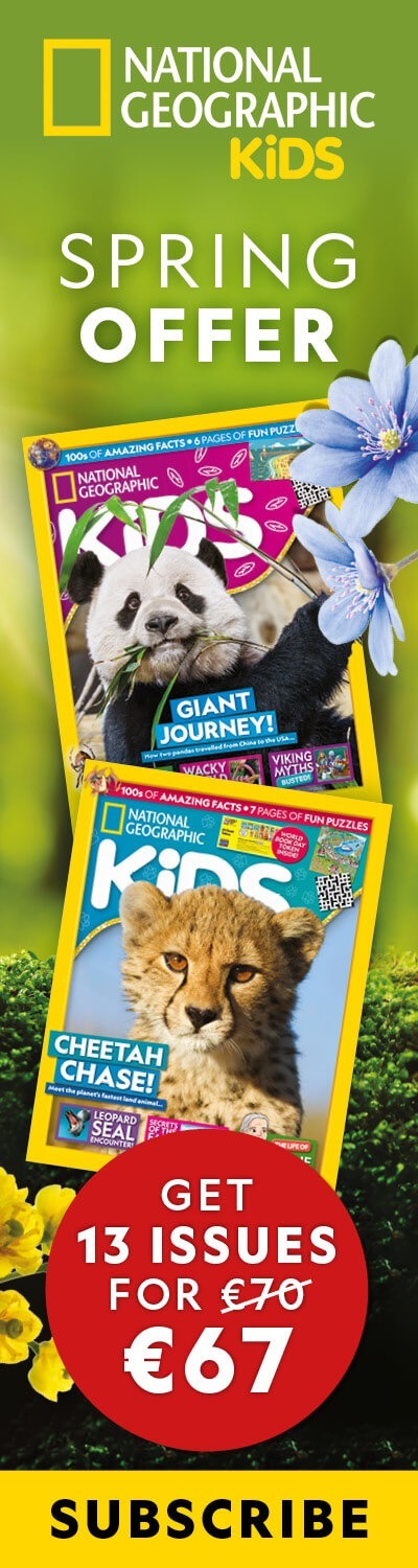 IE: Spring Offer 2026 – LHB