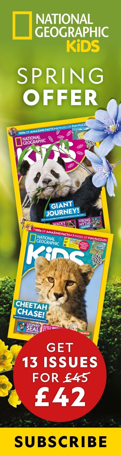 UK: Spring Offer 2026 – LHB