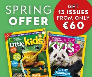 IE: Spring Offer 2026 – MPU