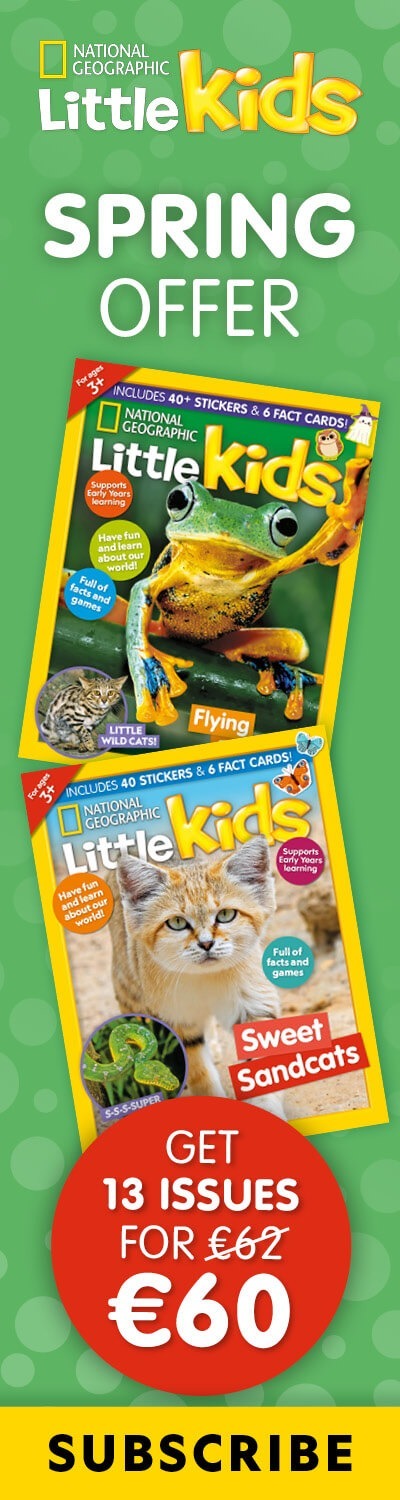 IE: Spring Offer 2026 – RHB