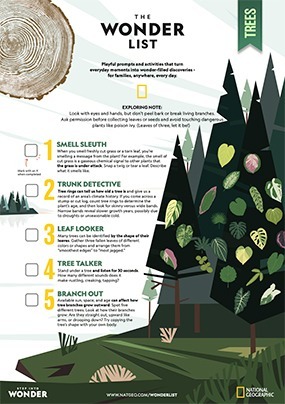 Earth Day activities including smelling natural objects, looking at tree rings, identifying the shape of leaves, listening to noises from a tree and looking at tree shapes