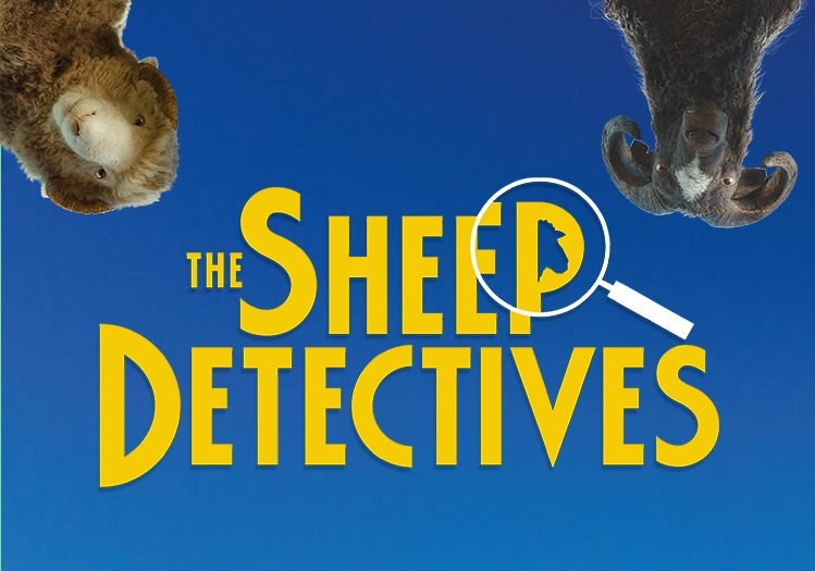 Discover the Sheep Detectives