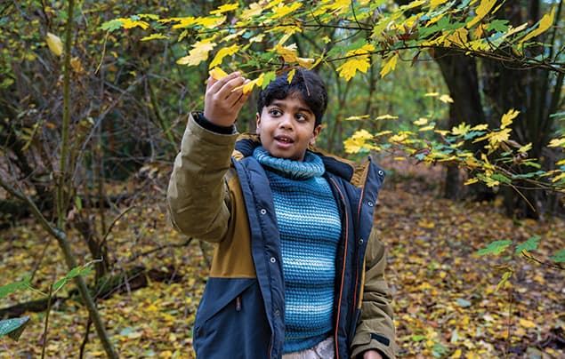 Aneeshwar reaches up to touch the yellowing leaves of a tree in a woodland. He's wearing a coat and stripy jumper.