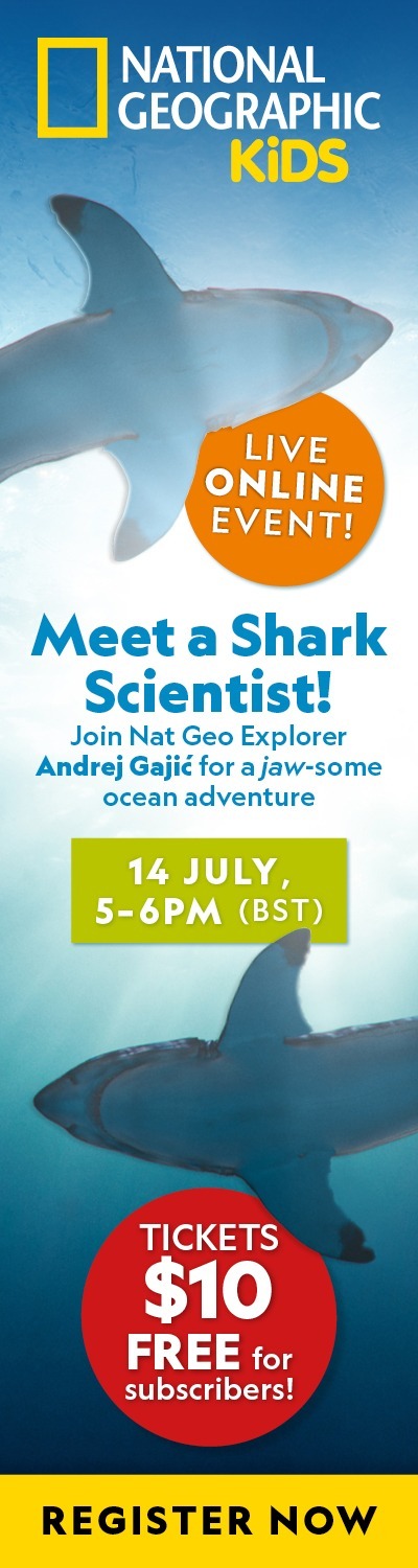 AU: Meet a Shark Scientist – LHB