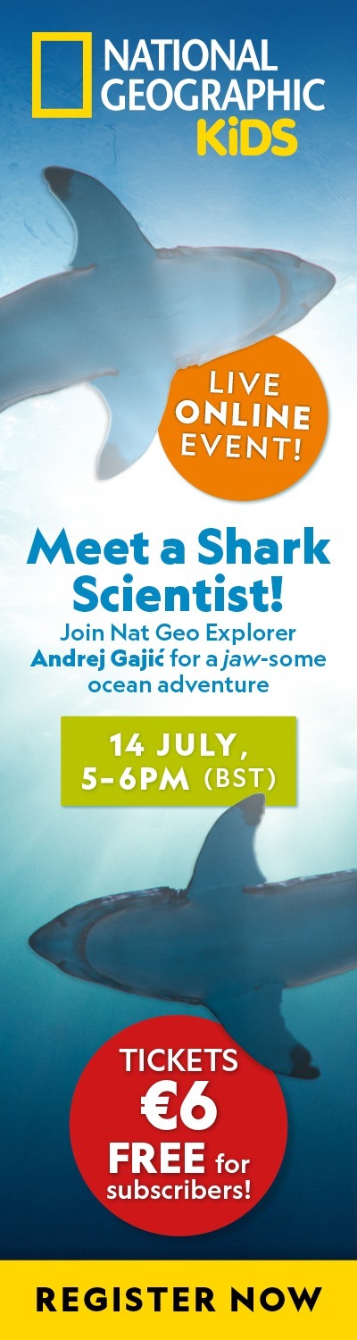 IE: Meet a Shark Scientist – LHB