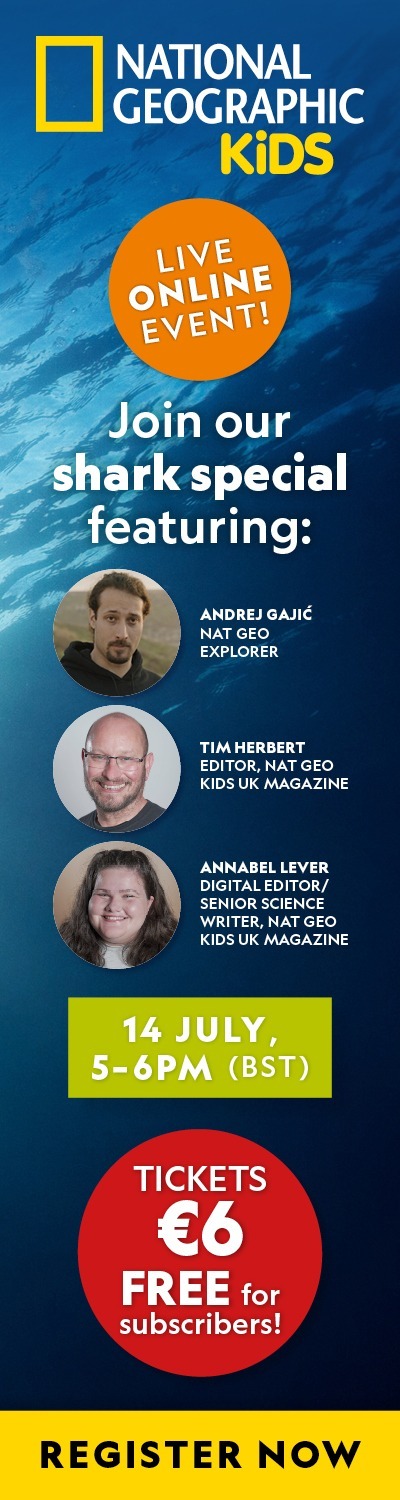 IE: Meet a Shark Scientist – RHB