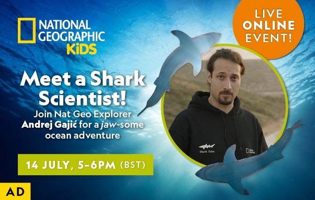 UK: Meet a Shark Scientist – In-Article