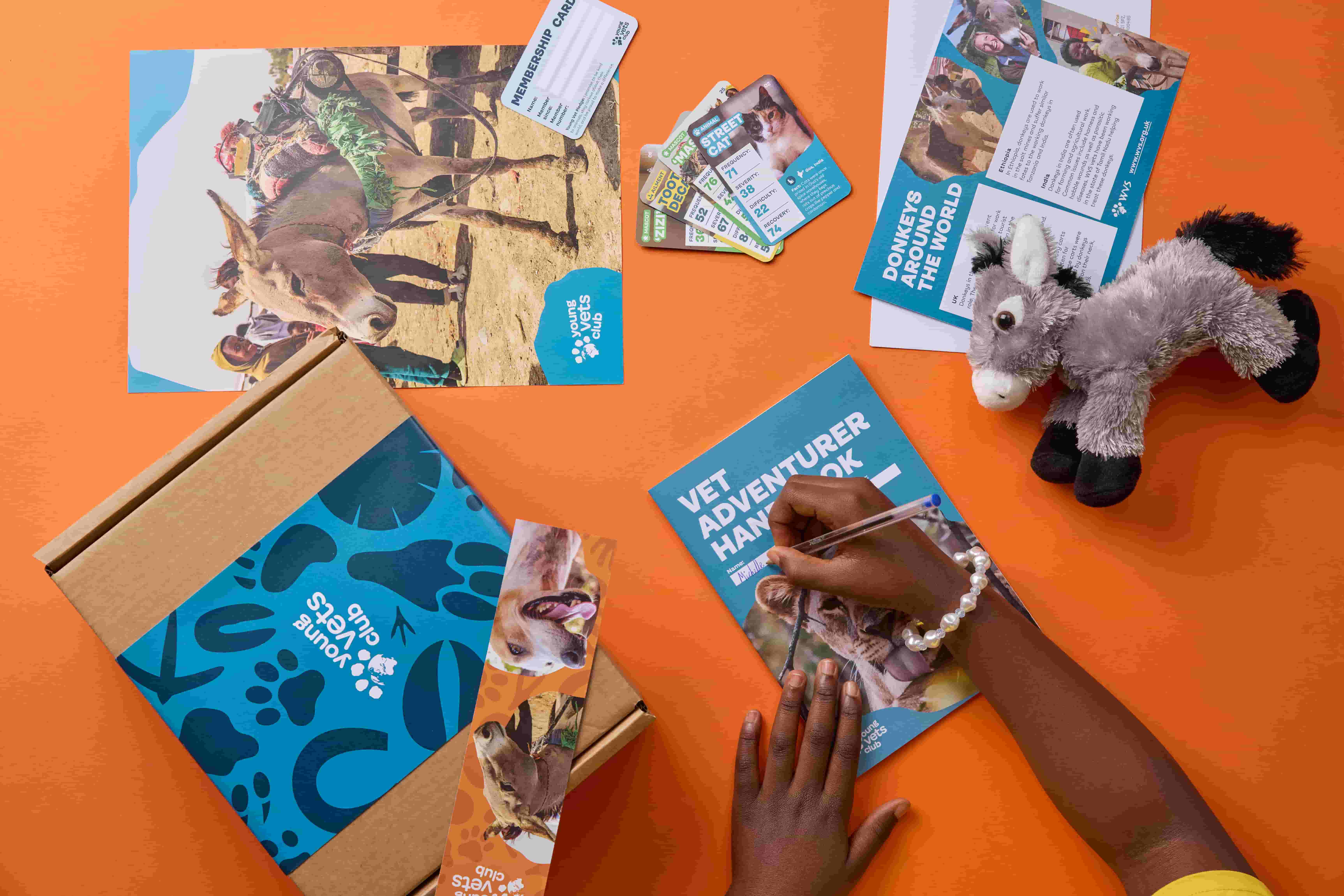 A child writes in a Vet Adventure Handbook on a table with Young Vet's Club donkey-themed materials, leaflets, postcards, a cuddly donkey toy, and a blue box with animal prints, all on an orange surface.