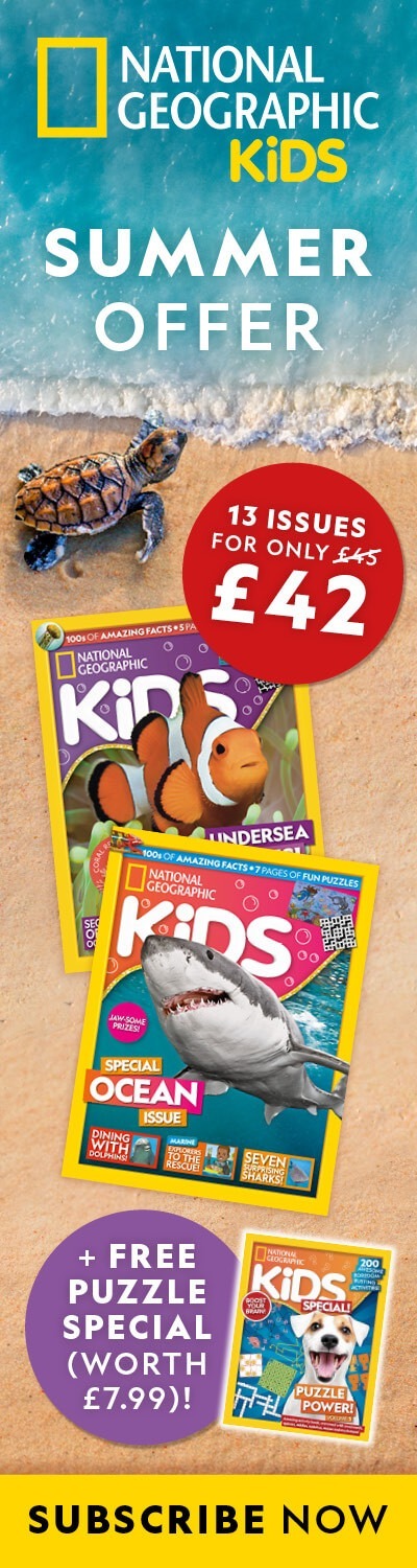 UK: Summer Sale 2026 – LHB