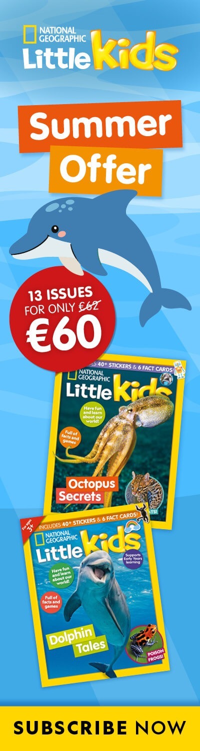 IE: Summer Sale 2026 – RHB