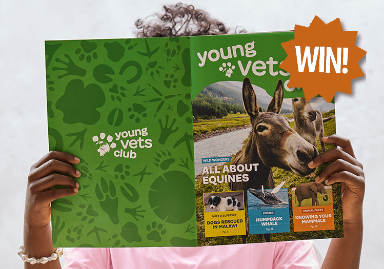 WIN a 3 month membership to the Young Vets Club!