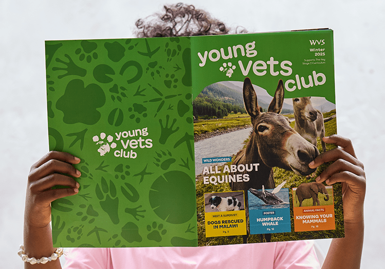 Young Vet’s Club