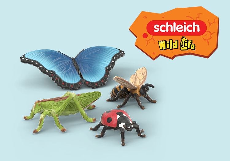 Insects Discovery Set