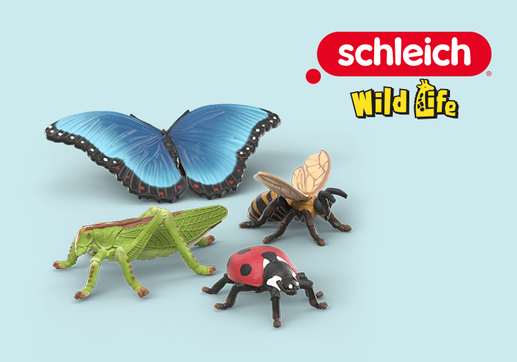 Insects Discovery Set