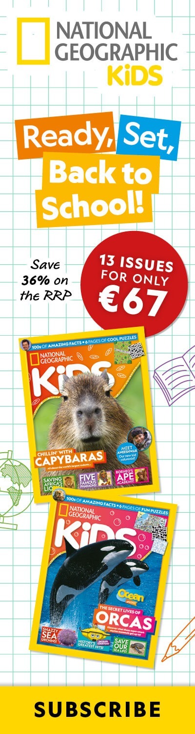 IE: Back-to-School Sale 2026 – LHB