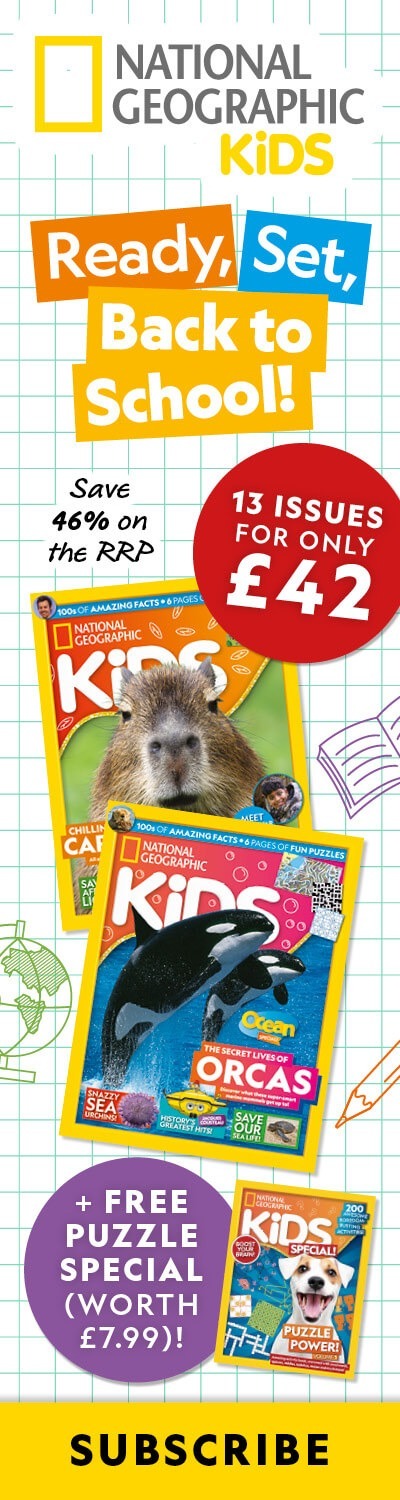 UK: Back-to-School Sale 2026 – LHB