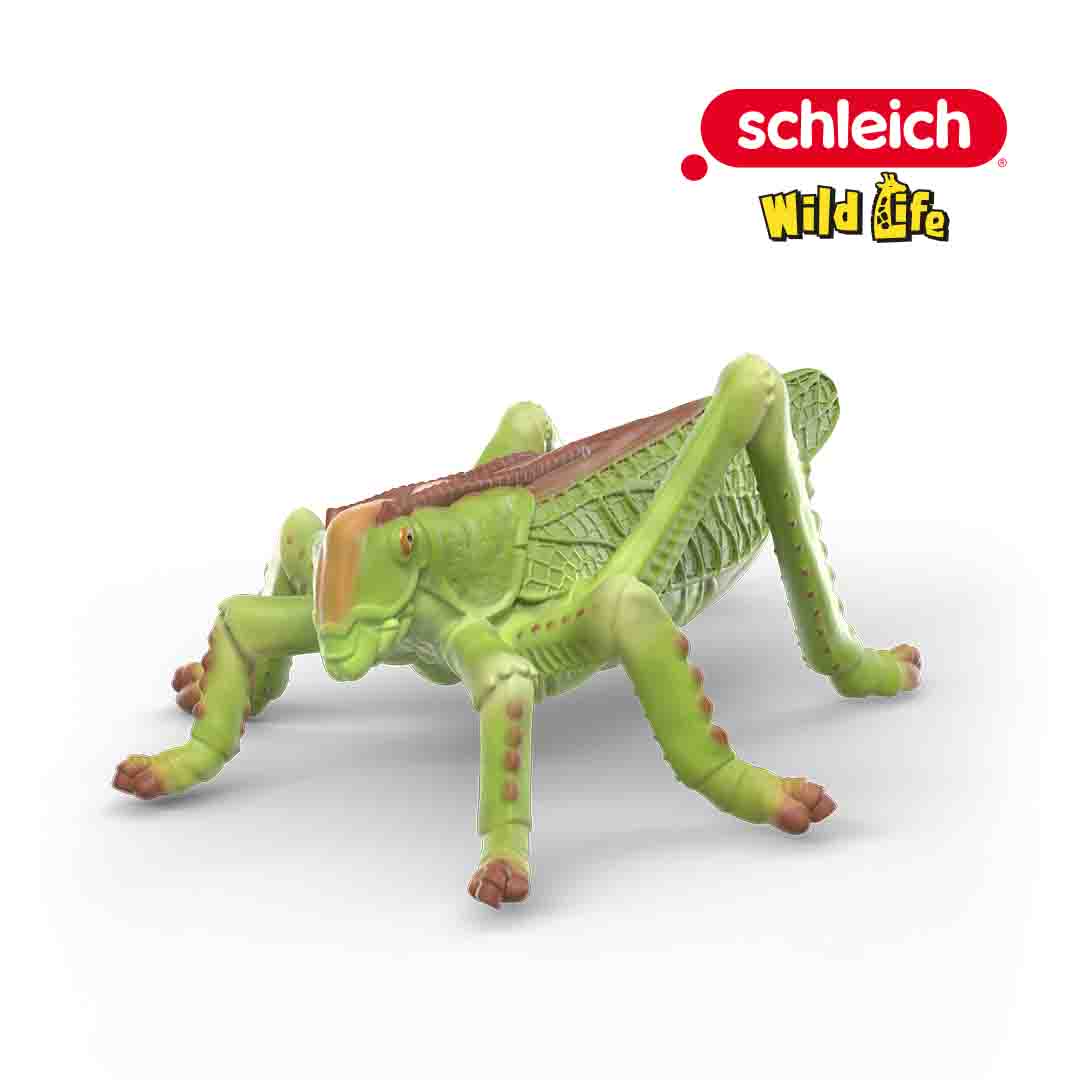 A green katydid figurine with brown details from the Schleich Wild Life Insects Discovery Set, shown on a white background with the Schleich and Wild Life logos in the top right corner.