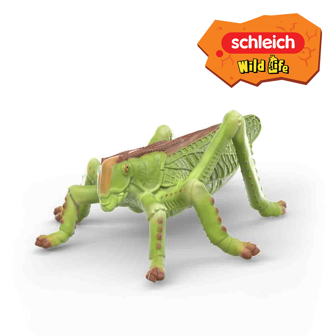 A green and brown grasshopper figurine is shown on a white background with the Schleich Wild Life logo in the top right corner, making it a perfect addition to any Insect Collection or Discovery Set for young explorers fascinated by insects.