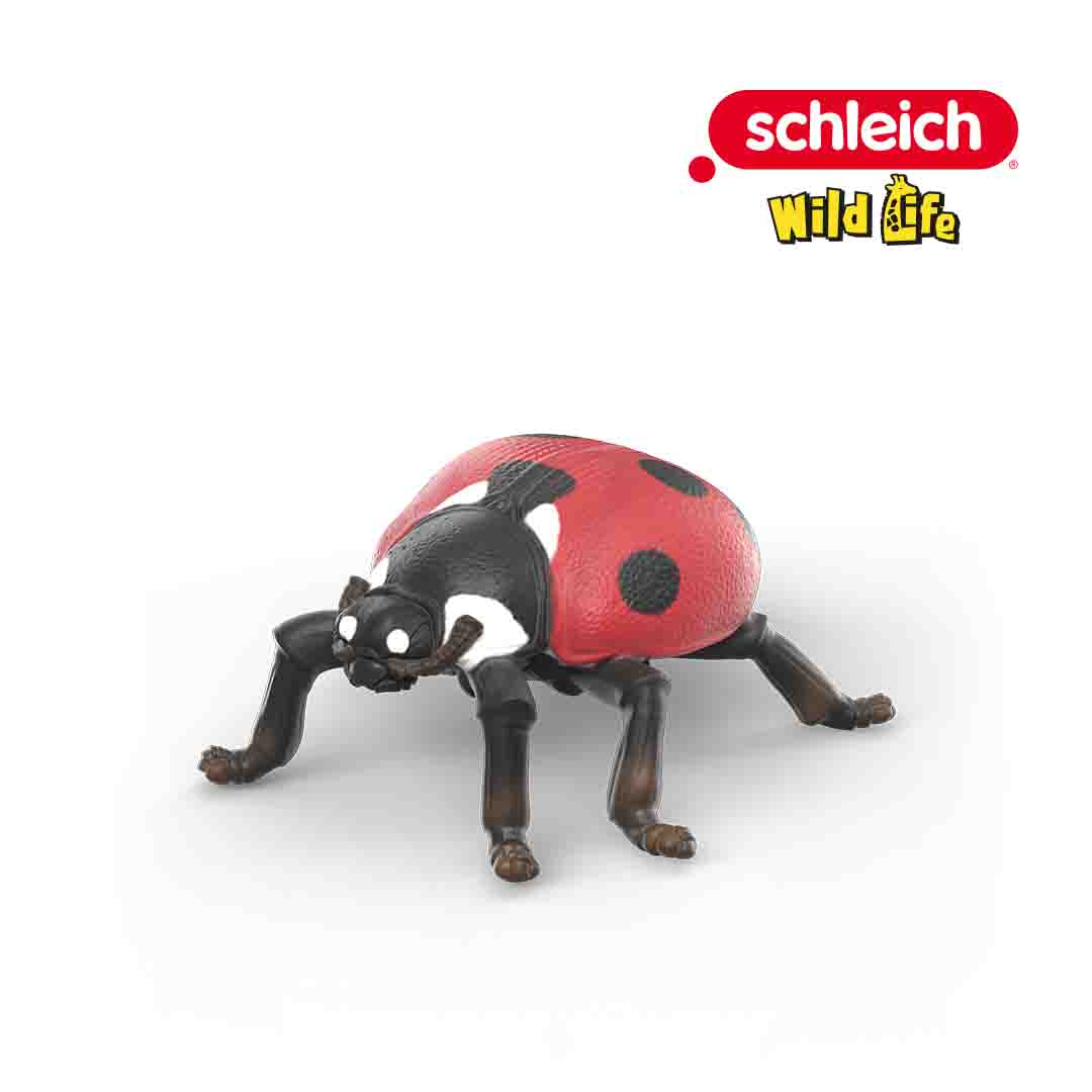 A toy ladybird figurine with a red shell and black spots, posed on a white background. Part of the Insect Collection, the Schleich Wild Life logo is in the top right corner.