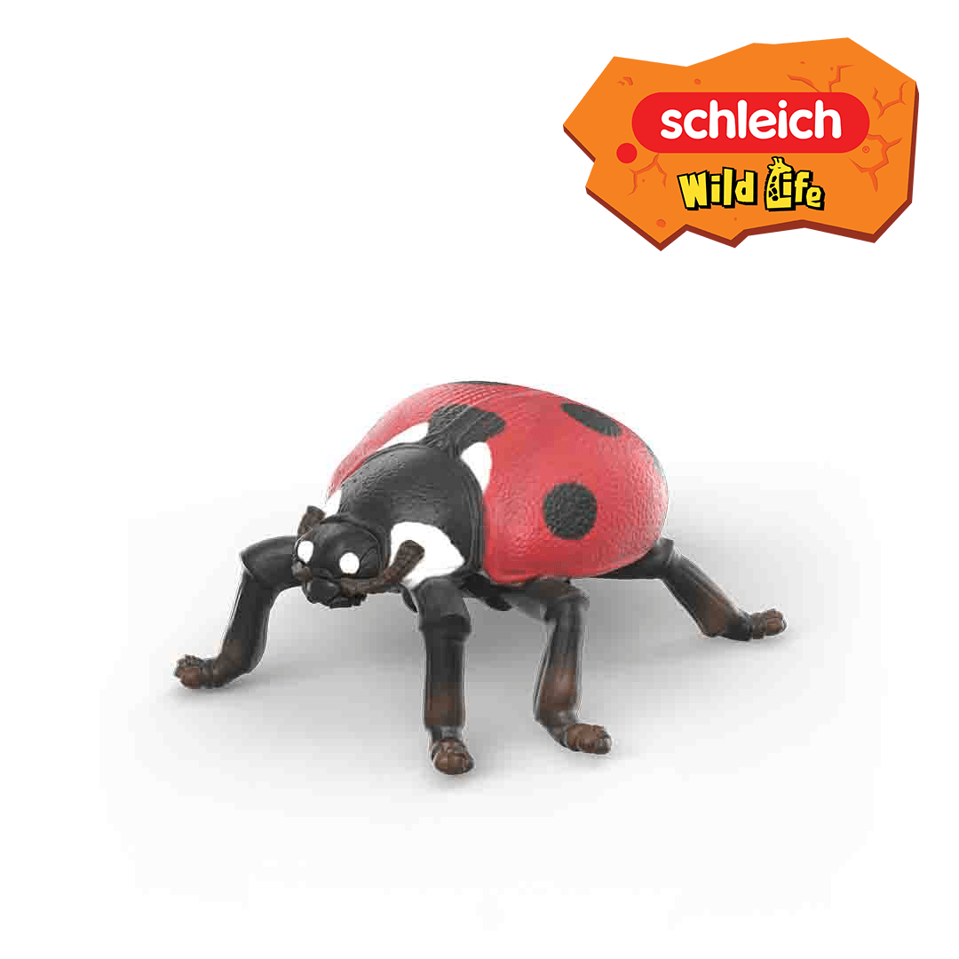 A Schleich Wild Life toy figure of a ladybird with a red body and black spots, perfect for adding to your Insect Kit or Discovery Set. Displayed on a white background, the figure is accompanied by the Schleich Wild Life logo in the top right corner.