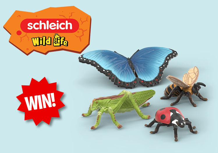 WIN a Schleich Insects Discovery Set!