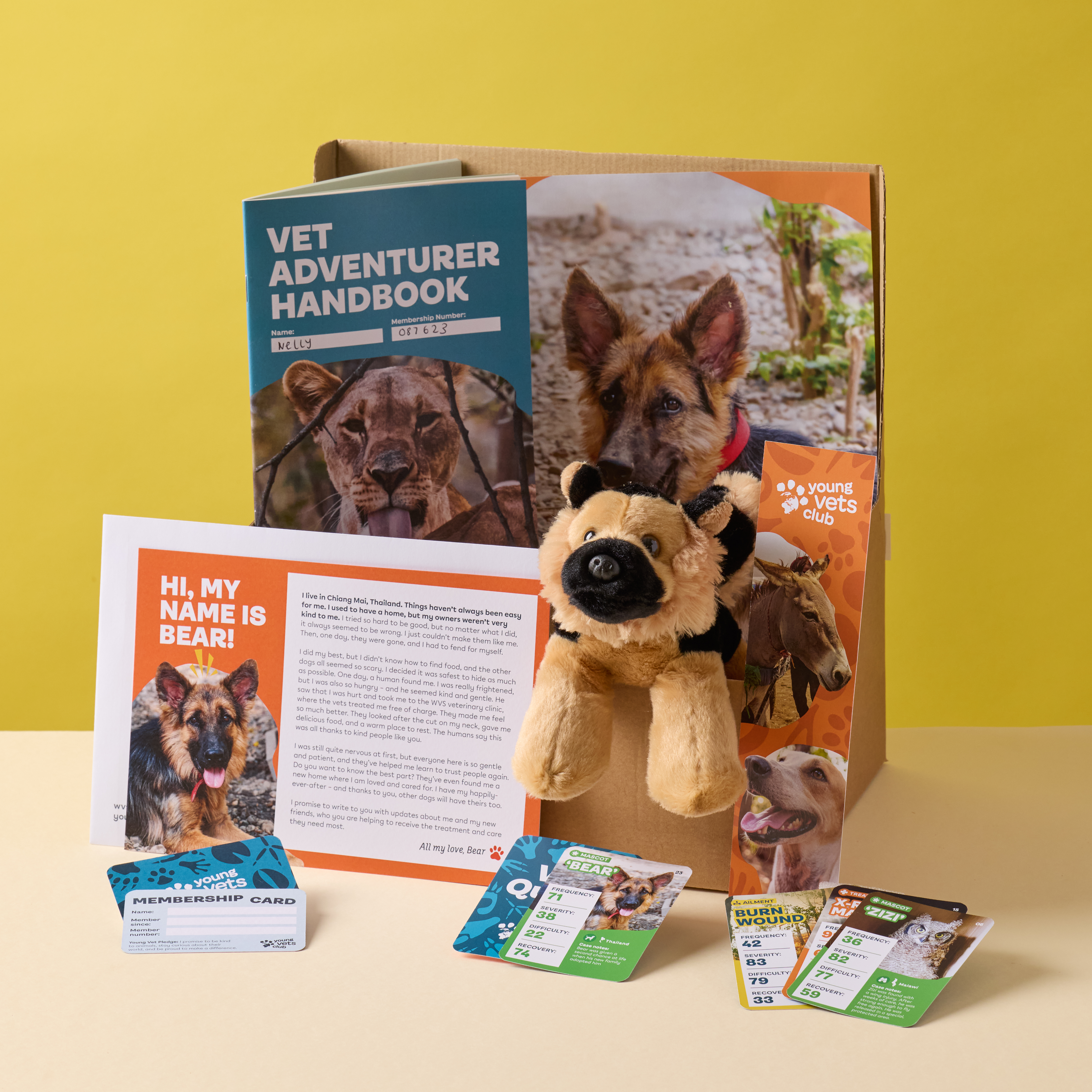 Young Vets Club subscription box showing dog soft toy, leaflet and the membership contents