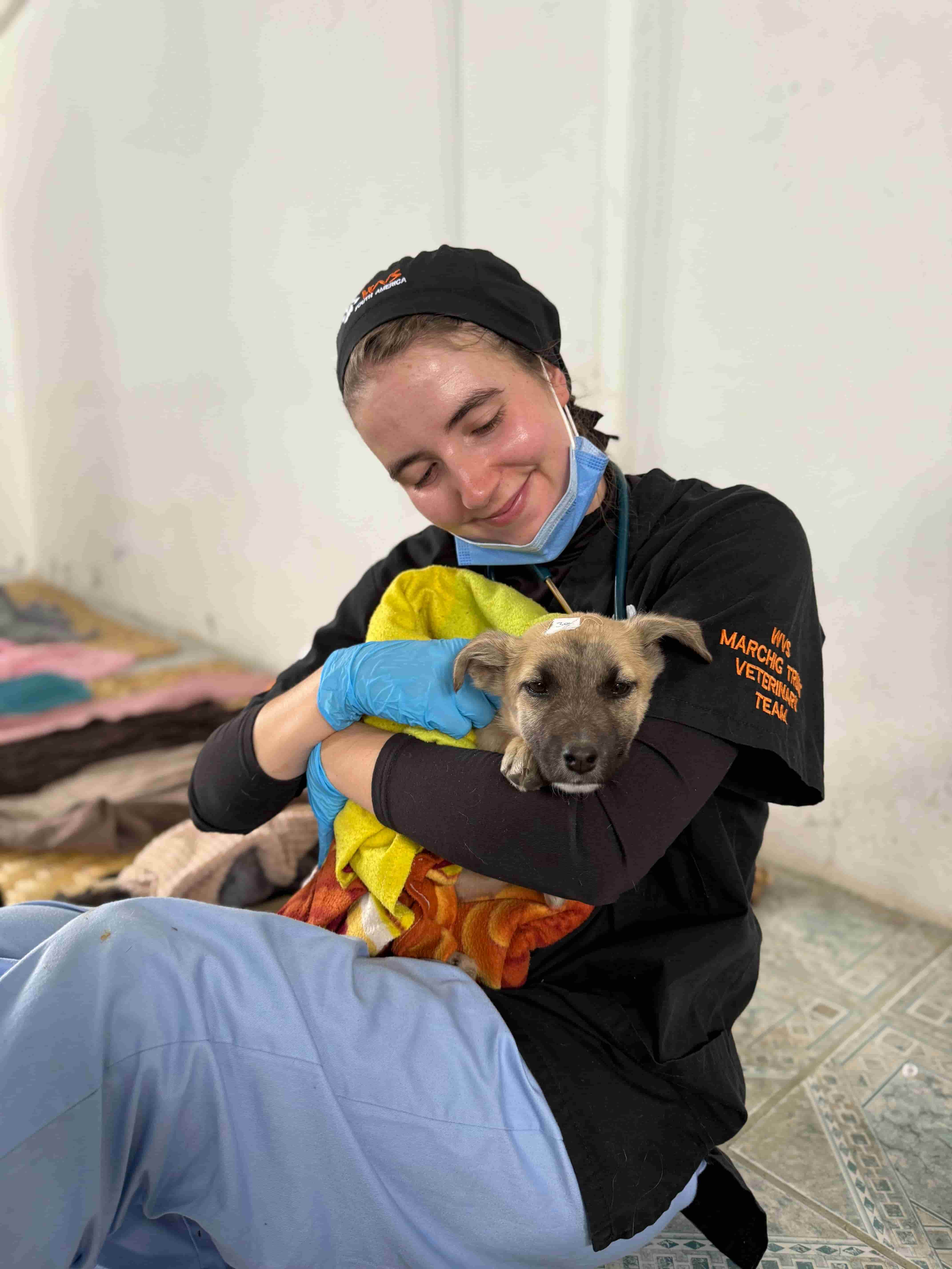 A smiling Young Vet’s Club member in scrubs and gloves cuddles a small dog wrapped in a yellow towel, sitting on the floor in a veterinary surgery.