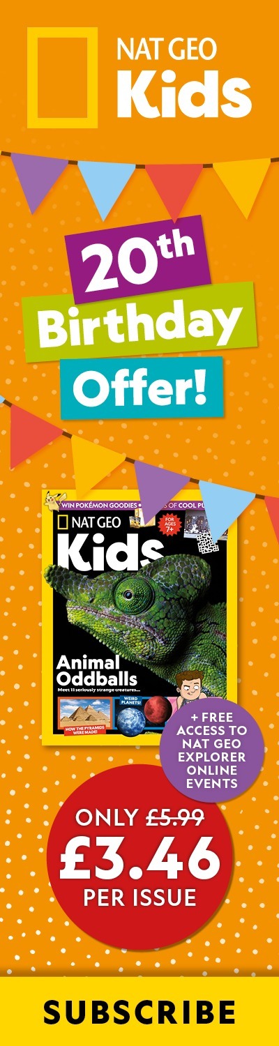 UK: 20th Birthday Sale – RHB
